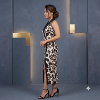 Vashtro Women Stunning Printed Dress